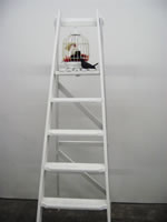 View larger version of Dee Shaw's installation,  Disrobing the Bride.